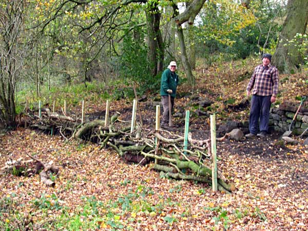 path and fence